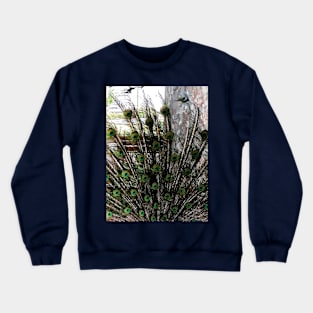 Peacock Crewneck Sweatshirt